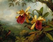 马丁约翰逊赫德 - Orchids and Hummingbird